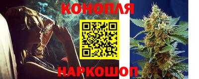 тгк Славгород