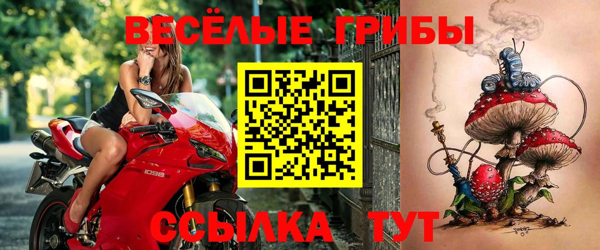 наркошоп  Галлюциногенные грибы ЛСД  Вход с VPN  Канск 